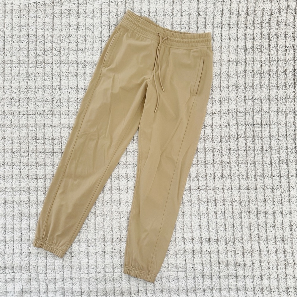 Aritzia TNAction Cozy Joggers